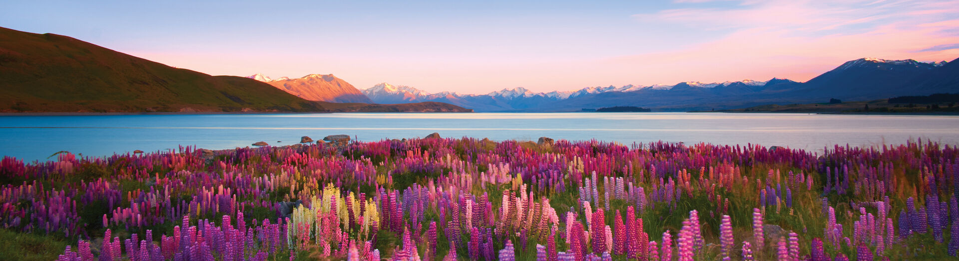 Lake Tekapo, New Zealand