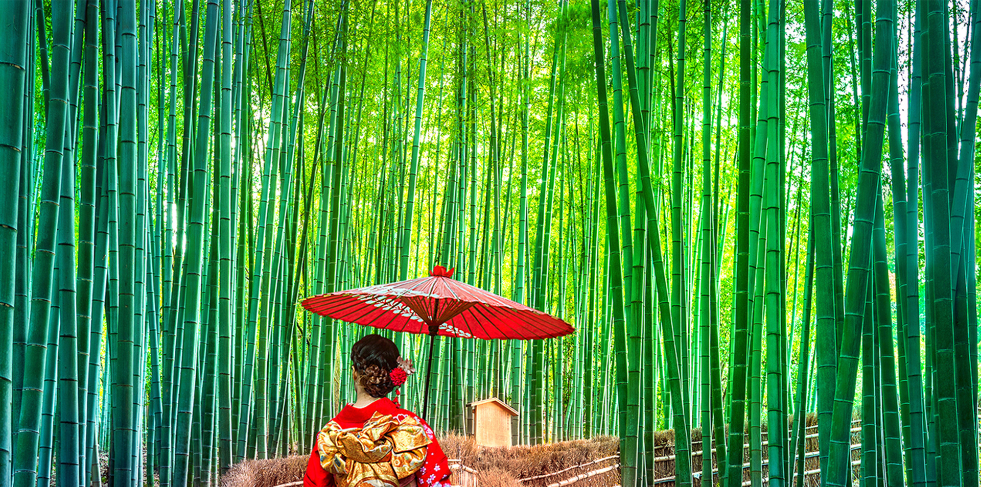 Princess Asia Voyage & Japanese Rail Adventure